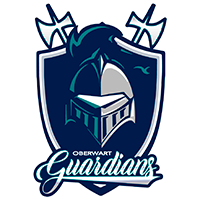 Guardians Flag